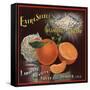 Diamond Brand - Denver, Colorado - Citrus Crate Label-Lantern Press-Framed Stretched Canvas