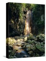 Diamond Falls, St. Lucia, Windward Islands, Caribbean, West Indies, Central America-Lee Frost-Stretched Canvas