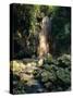 Diamond Falls, St. Lucia, Windward Islands, Caribbean, West Indies, Central America-Lee Frost-Stretched Canvas