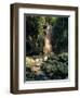 Diamond Falls, St. Lucia, Windward Islands, Caribbean, West Indies, Central America-Lee Frost-Framed Photographic Print