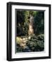 Diamond Falls, St. Lucia, Windward Islands, Caribbean, West Indies, Central America-Lee Frost-Framed Photographic Print