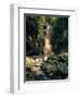 Diamond Falls, St. Lucia, Windward Islands, Caribbean, West Indies, Central America-Lee Frost-Framed Photographic Print