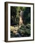 Diamond Falls, St. Lucia, Windward Islands, Caribbean, West Indies, Central America-Lee Frost-Framed Photographic Print