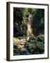 Diamond Falls, St. Lucia, Windward Islands, Caribbean, West Indies, Central America-Lee Frost-Framed Photographic Print