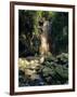 Diamond Falls, St. Lucia, Windward Islands, Caribbean, West Indies, Central America-Lee Frost-Framed Photographic Print