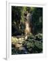 Diamond Falls, St. Lucia, Windward Islands, Caribbean, West Indies, Central America-Lee Frost-Framed Photographic Print