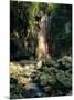 Diamond Falls, St. Lucia, Windward Islands, Caribbean, West Indies, Central America-Lee Frost-Mounted Photographic Print