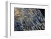 Diamond ice chards from calving icebergs on black sand beach, Jokulsarlon, south Iceland-Chuck Haney-Framed Photographic Print