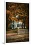 Diamond in Autumn-Jai Johnson-Framed Giclee Print