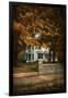 Diamond in Autumn-Jai Johnson-Framed Giclee Print