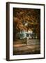 Diamond in Autumn-Jai Johnson-Framed Giclee Print