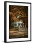 Diamond in Autumn-Jai Johnson-Framed Giclee Print