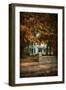 Diamond in Autumn-Jai Johnson-Framed Giclee Print