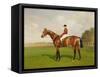 Diamond Jubilee', Winner of the 1900 Derby, 1900-Emil Adam-Framed Stretched Canvas