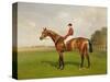 Diamond Jubilee', Winner of the 1900 Derby, 1900-Emil Adam-Stretched Canvas