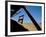 Diamond Mining Ghost Town, Kolmanskop, Namib Desert, Luderitz, Namibia, Africa-Steve & Ann Toon-Framed Photographic Print