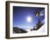 Diamond Peak, Nevada, USA-null-Framed Premium Photographic Print