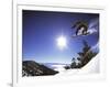 Diamond Peak, Nevada, USA-null-Framed Photographic Print