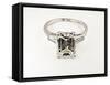 Diamond Ring-null-Framed Stretched Canvas