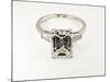 Diamond Ring-null-Mounted Photographic Print
