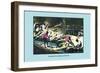 Diamond Washing in Brazil-John Howard Appleton-Framed Premium Giclee Print