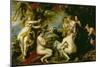 Diana and Callisto, c.1638-40-Peter Paul Rubens-Mounted Giclee Print