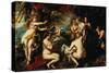 Diana and Callisto-Peter Paul Rubens-Stretched Canvas