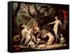 Diana and Callisto-Sebastiano Ricci-Framed Stretched Canvas