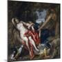 Diana and Her Nymph Surprised by Satyr-Sir Anthony Van Dyck-Mounted Premium Giclee Print