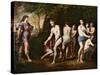 Diana and Her Nymphs Surprised by Actaeon-Andrea Vaccaro-Stretched Canvas