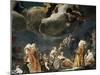 Diana and Her Nymphs-Giuseppe Maria Crespi-Mounted Giclee Print
