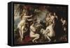 Diana Discovering Her Nymph Callisto's Pregnancy by Jupiter, C. 1640-40-Peter Paul Rubens-Framed Stretched Canvas