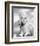 Diana Dors-null-Framed Photo