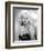 Diana Dors-null-Framed Photo