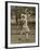 Diana Fishwick in Action at Stoke Poges Where She Won a Championship in 1927-null-Framed Photographic Print