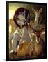 Diana in the Forest-Jasmine Becket-Griffith-Framed Art Print