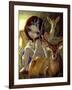 Diana in the Forest-Jasmine Becket-Griffith-Framed Art Print