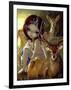 Diana in the Forest-Jasmine Becket-Griffith-Framed Art Print