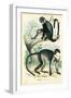 Diana Monkey, 1863-79-Raimundo Petraroja-Framed Giclee Print