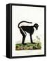 Diana Monkey-null-Framed Stretched Canvas