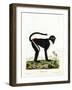 Diana Monkey-null-Framed Giclee Print