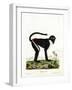 Diana Monkey-null-Framed Giclee Print