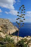 The Blue Grotto Malta-Diana Mower-Stretched Canvas