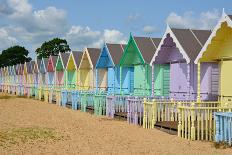 Row of Beach Huts-Diana Mower-Photographic Print