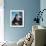 Diana Rigg-null-Framed Photo displayed on a wall