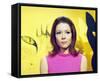 Diana Rigg-null-Framed Stretched Canvas