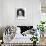 Diana Ross - Mahogany-null-Framed Photo displayed on a wall