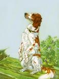 English Setter-Diana Thorne-Art Print