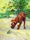 The Cocker Spaniel Sees a Butterfly-Diana Thorne-Framed Stretched Canvas