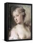 Diana-Carriera Rosalba-Framed Stretched Canvas